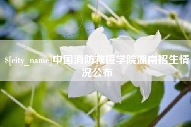 玉林中国消防救援学院湖南招生情况公布