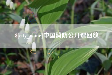 玉林中国消防公开课回放