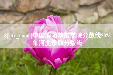 玉林中国消防救援学院分数线2023年河北录取分数线