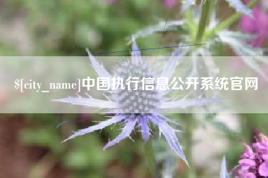 玉林中国执行信息公开系统官网
