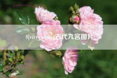 玉林古代九宫图片