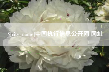 玉林中国执行信息公开网 网址