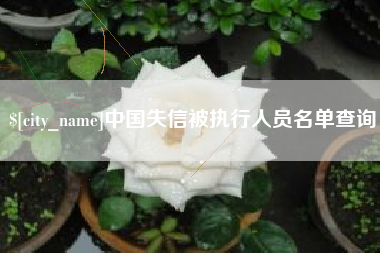 玉林中国失信被执行人员名单查询