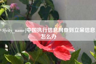 玉林中国执行信息网查到立案信息怎么办