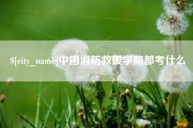 玉林中国消防救援学院都考什么