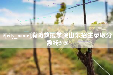 玉林消防救援学院山东招生录取分数线2020
