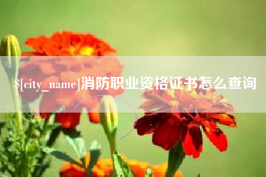 玉林消防职业资格证书怎么查询