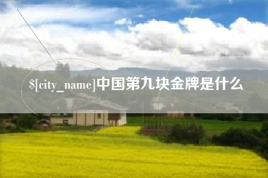 玉林中国第九块金牌是什么