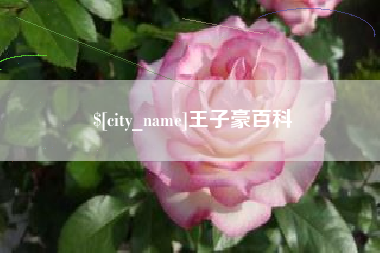 玉林王子豪百科