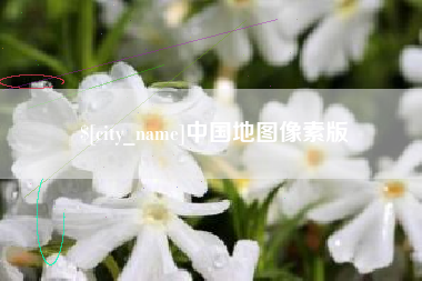 玉林中国地图像素版