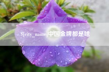 玉林中国金牌都是啥