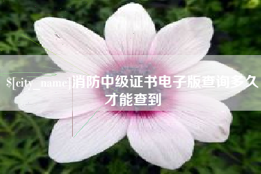 玉林消防中级证书电子版查询多久才能查到