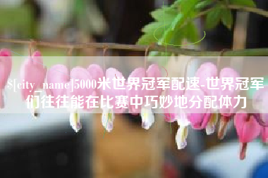 玉林5000米世界冠军配速-世界冠军们往往能在比赛中巧妙地分配体力