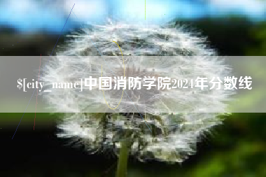 玉林中国消防学院2024年分数线