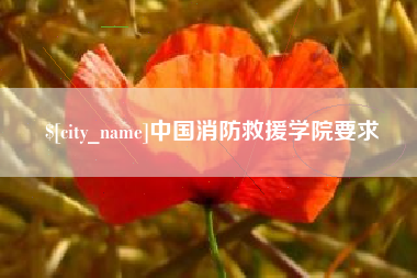 玉林中国消防救援学院要求