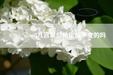 玉林九宫星位是定位不变的吗