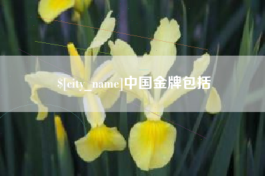 玉林中国金牌包括