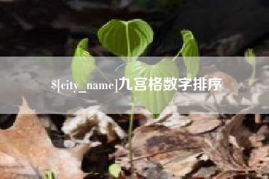 玉林九宫格数字排序