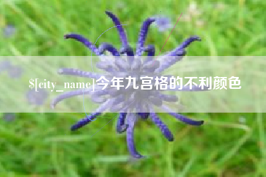 玉林今年九宫格的不利颜色