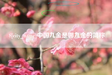 玉林中国九金是哪九金的简称