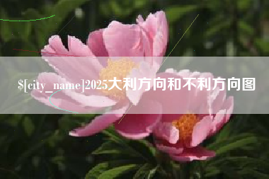 玉林2025大利方向和不利方向图