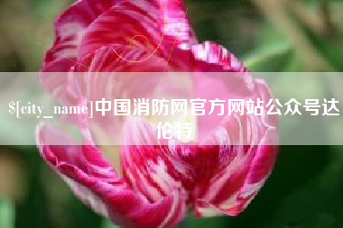 玉林中国消防网官方网站公众号达伦特