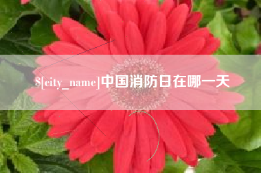 玉林中国消防日在哪一天