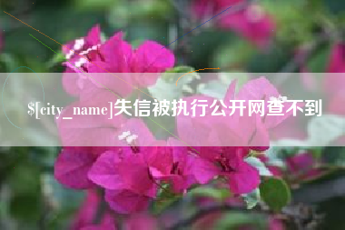 玉林失信被执行公开网查不到