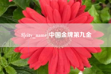 玉林中国金牌第九金