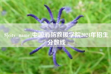玉林中国消防救援学院2024年招生分数线