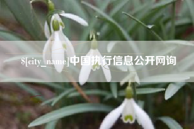玉林中国执行信息公开网询