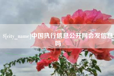 玉林中国执行信息公开网会发信息吗