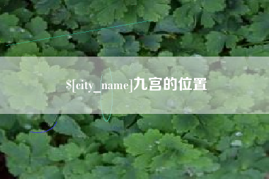 玉林九宫的位置