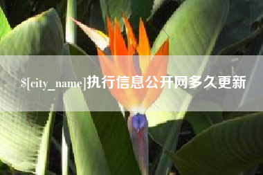 玉林执行信息公开网多久更新