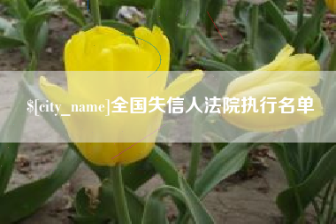 玉林全国失信人法院执行名单
