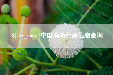 玉林中国消防产品信息查询