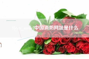 玉林中国消防网址是什么