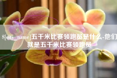 玉林五千米比赛领跑员是什么-他们就是五千米比赛领跑员