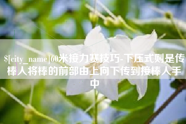 玉林60米接力赛技巧-下压式则是传棒人将棒的前部由上向下传到接棒人手中