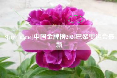 玉林中国金牌榜2024巴黎奥运会最新