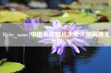 玉林中国金牌图片大全大图高清无水印