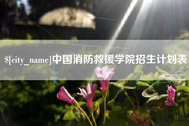 玉林中国消防救援学院招生计划表