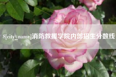 玉林消防救援学院内部招生分数线