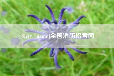 玉林全国消防招考网