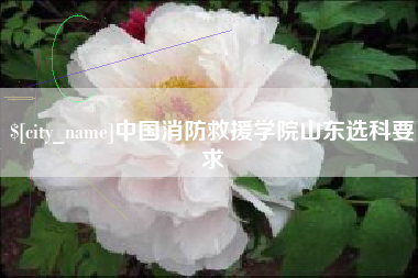 玉林中国消防救援学院山东选科要求