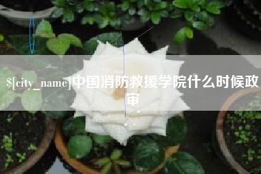 玉林中国消防救援学院什么时候政审