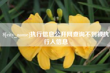 玉林执行信息公开网查询不到被执行人信息