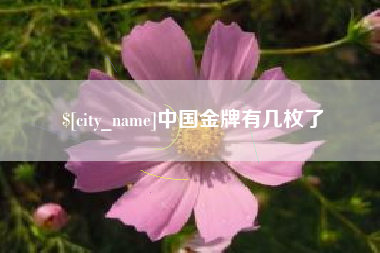 玉林中国金牌有几枚了