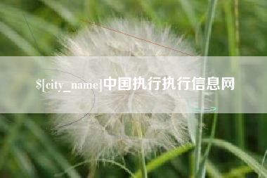 玉林中国执行执行信息网