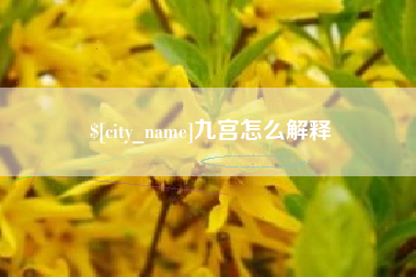 玉林九宫怎么解释